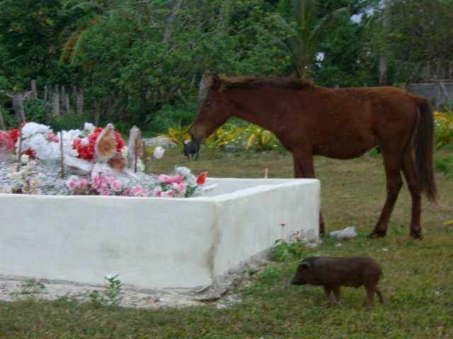 cimitero.jpg