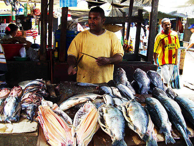 20071208245-pescado